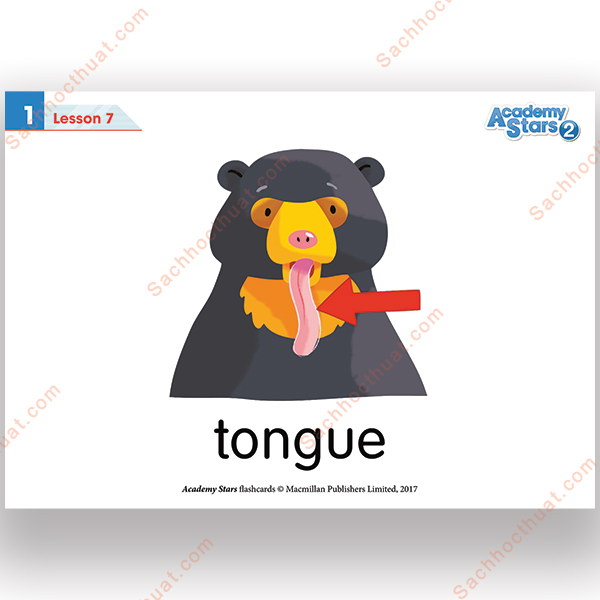 [Flashcards] Academy Stars 2 Flashcards A5 – 185 Thẻ